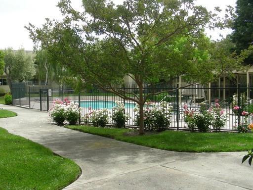 Foto del edificio - 767 N Fair Oaks Ave
