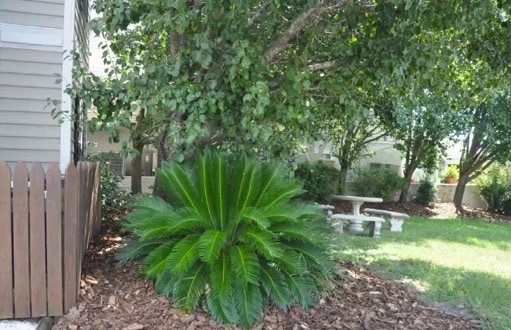 Building Photo - 211 Red Cross St