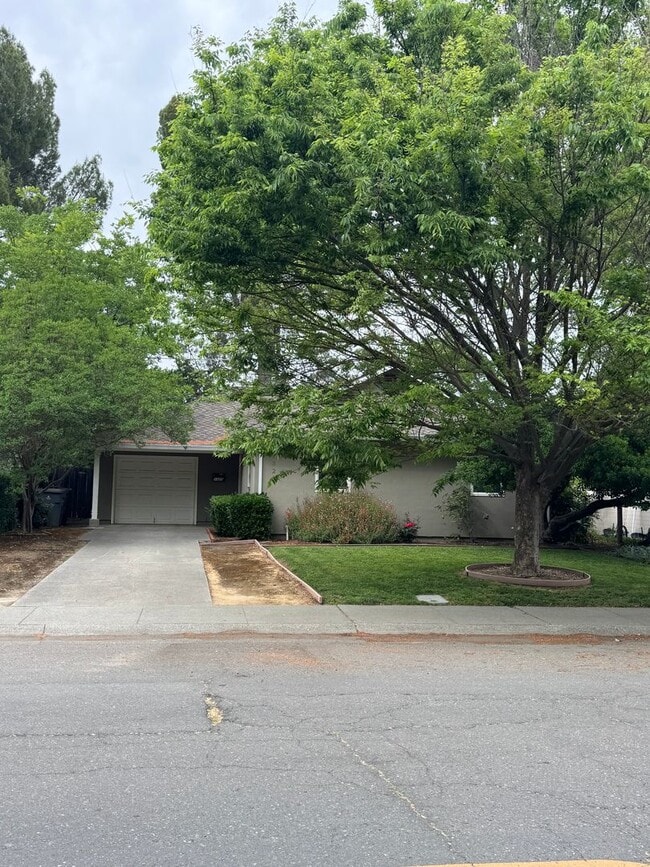 Building Photo - 1323 Colgate Dr