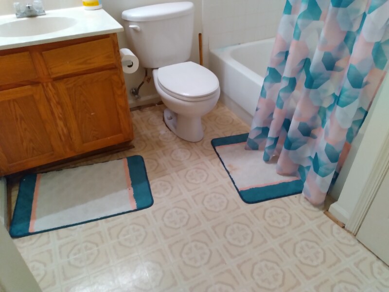 Foto del edificio - 219 Sycamore Ridge Rd