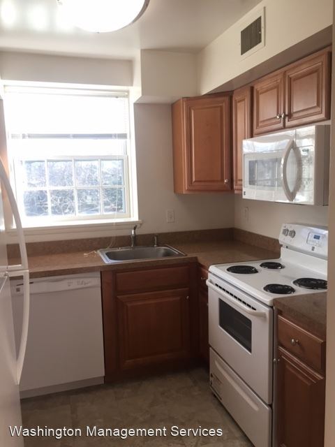 Building Photo - 1 br, 1 bath House - 3861 Newark St. NW Ap...
