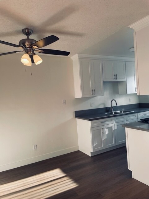 Kitchen - 311 E Maple St