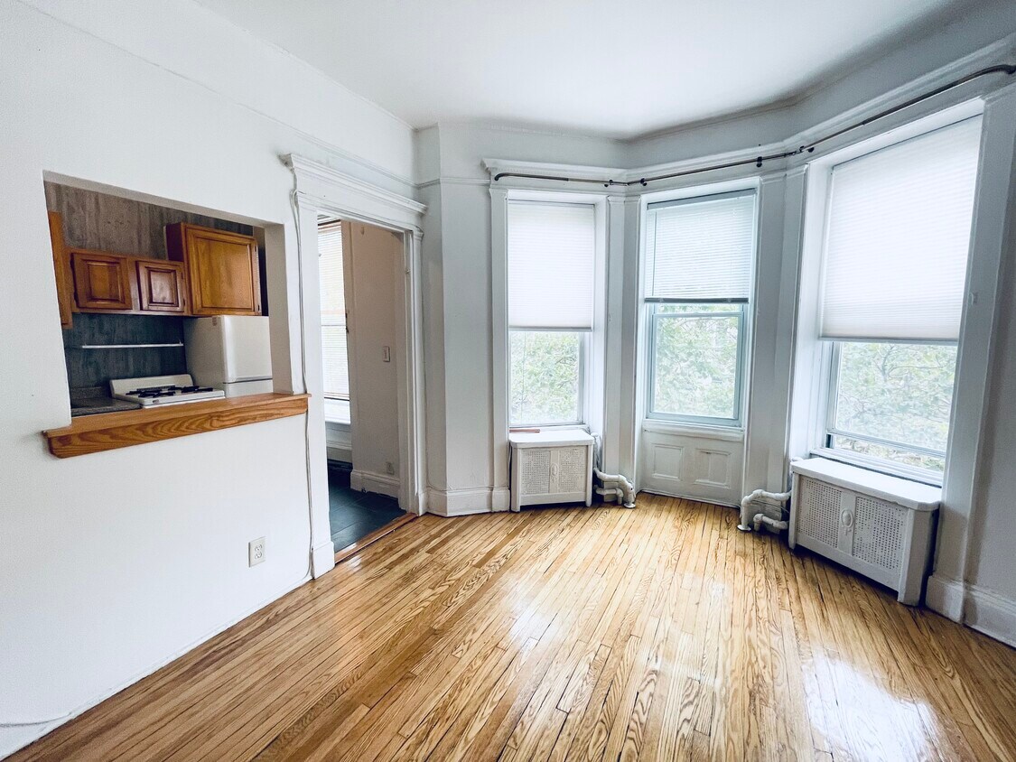 162 Underhill Ave Unit 3, Brooklyn, NY 11238 Room for Rent in