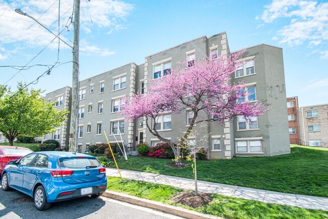 Building Photo - Available Now! 1 Bed 1 Bath in Brookland, ...