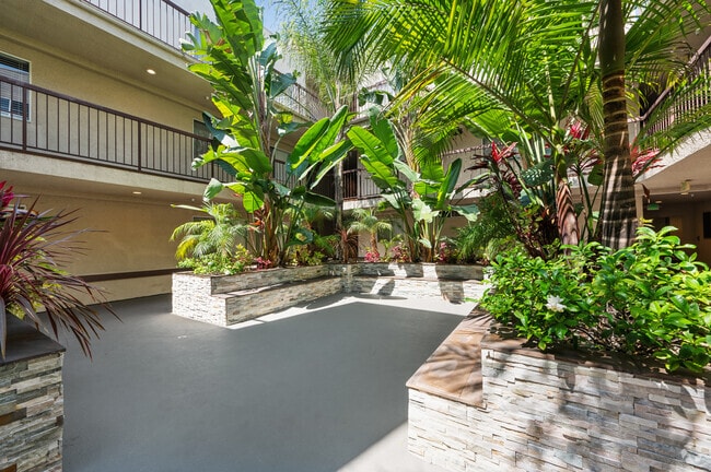 Building Photo - La Mirada Plaza Apartments