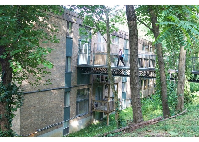 Interior Photo - Clifton Woods