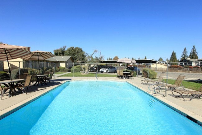 Pool - Stine Country Apartments