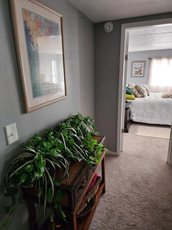 Photo - 201 Autumn Trail House