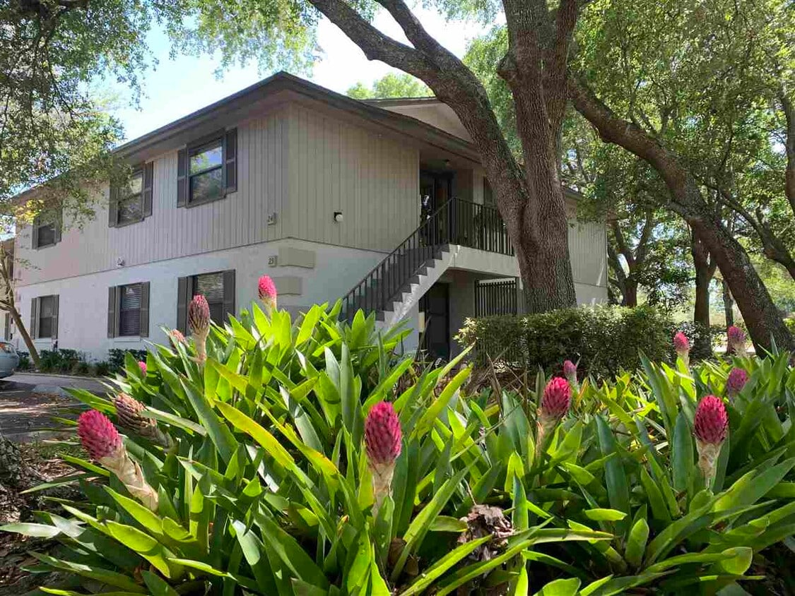 23 Catalonia Ct, St. Augustine, FL 32086 Condo for Rent in St. Augustine, FL