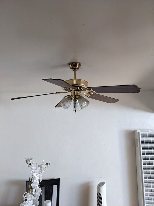 Previous ceiling fans (all replaced) - 5042 Palin St
