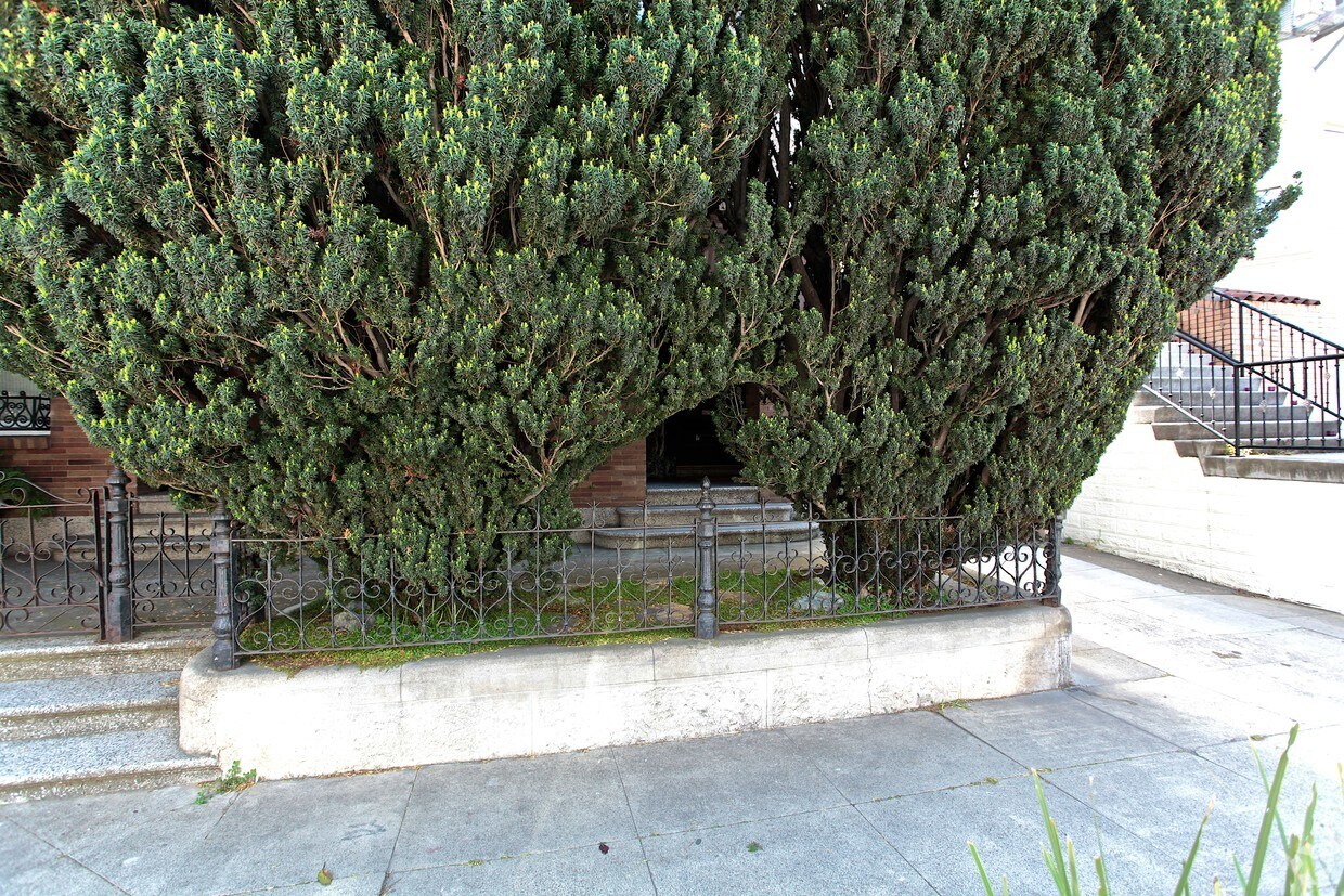 Building Photo - 232-238 San Jose Ave