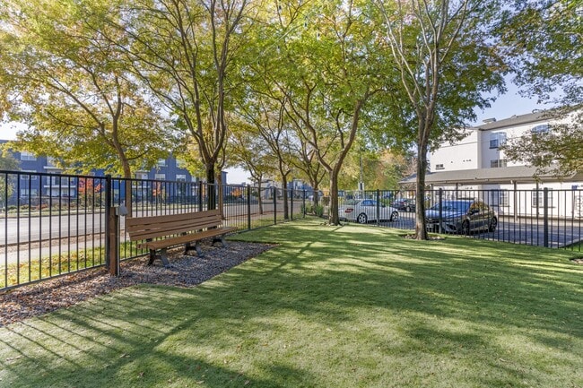 Our newly renovated dog park is now open, featuring fresh turf and plenty of space for your furry friends to play and socialize. - Renaissance Apartment Homes