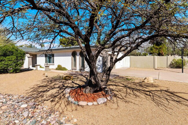Building Photo - 7074 E Aster Dr