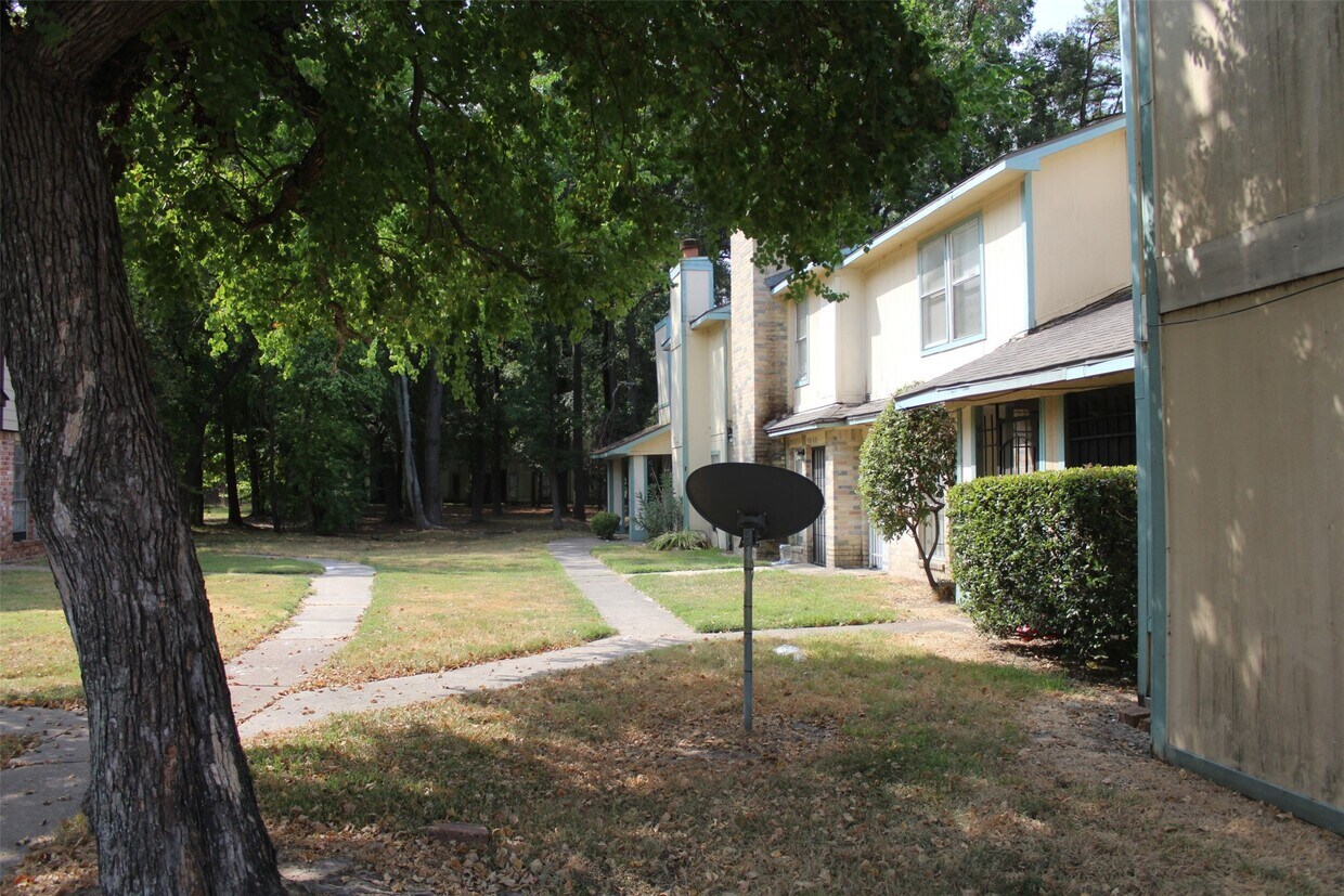 Foto principal - 5810 Twisted Pine Ct