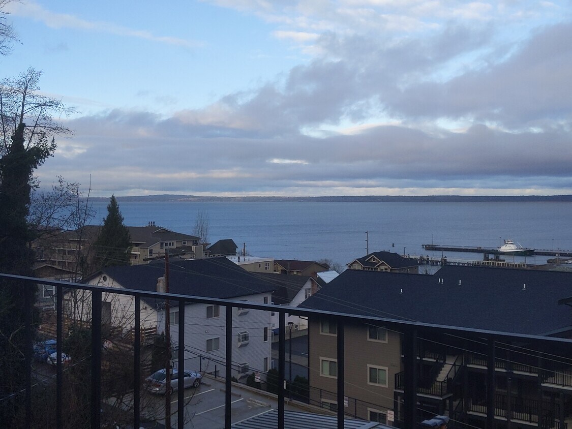 180 degree view of Bay, downtown, Islands, Mountains - 707 N Forest St
