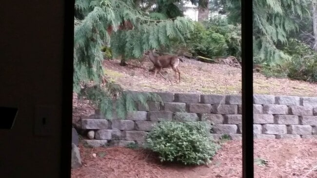 Building Photo - 1515 207th Pl NE