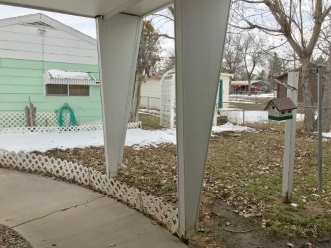 Back yard - 1016 7th Ave S