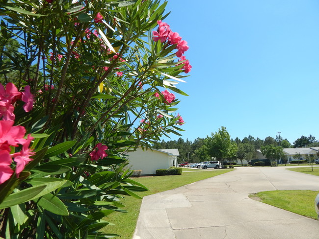 Building Photo - Sawgrass Apartments