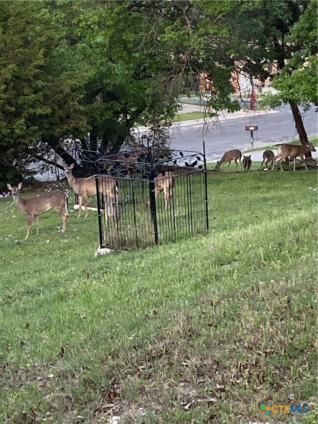 Foto del edificio - 1307 Sherry Ln