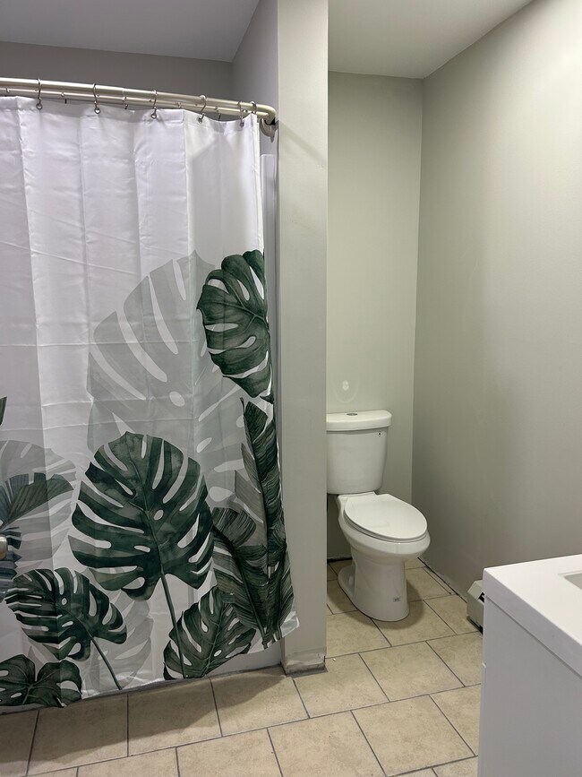 Shared Bathroom (bd 2/3) - 91 Mount Vernon Ave