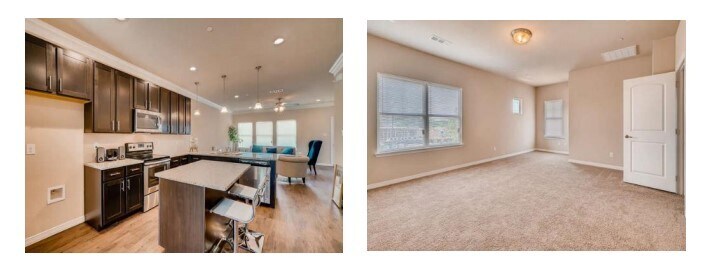 Foto del edificio - 113 Springtree St