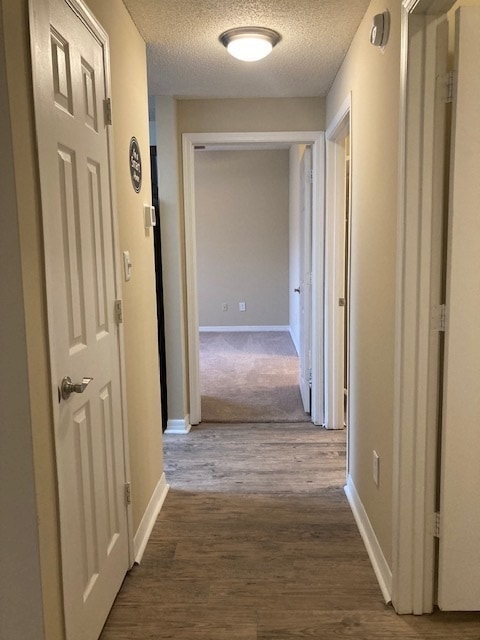 Interior Photo - MAA Riverchase