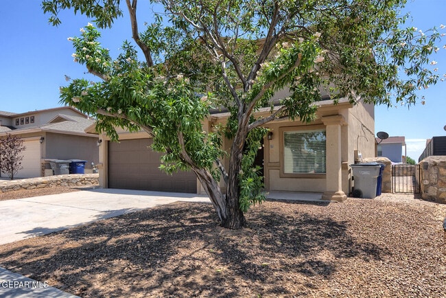 Building Photo - 14202 Ranier Point Dr