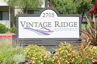 Vintage Ridge Apartment Homes photo'