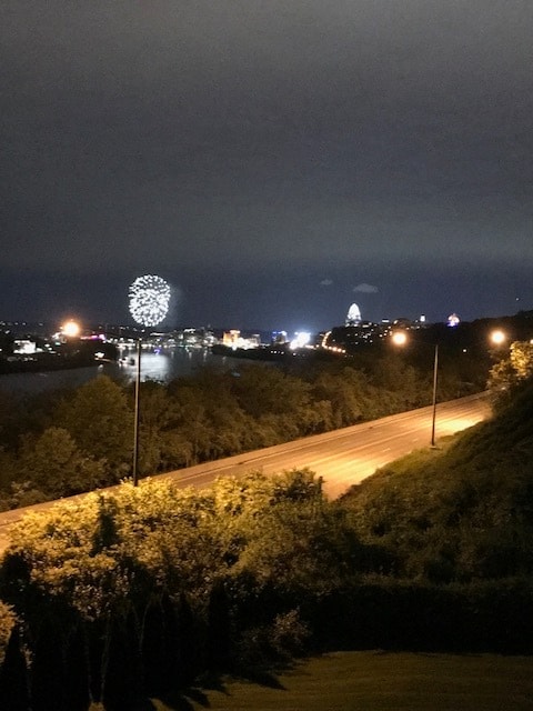 Riverfest Fireworks + Reds fireworks - 415 Bond Pl