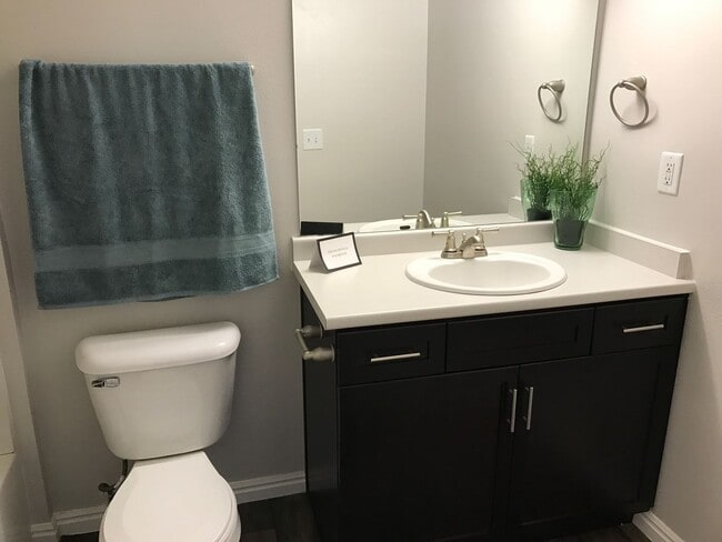 Interior Photo - Palladio Apartments – Your Home in the Heart of Utah