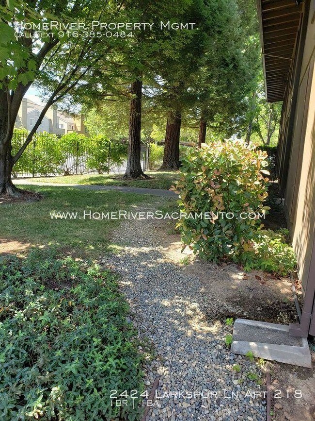 Building Photo - 1 bedroom in Sacramento CA 95825-4116