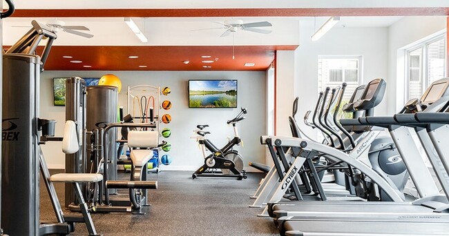 Fitness-Center-02-Halo-46-Tampa-12 - Halo 46:  Off-Campus Student Housing Apartments