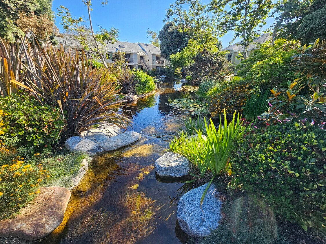 Beautiful grounds! - 12269 Carmel Vista Rd