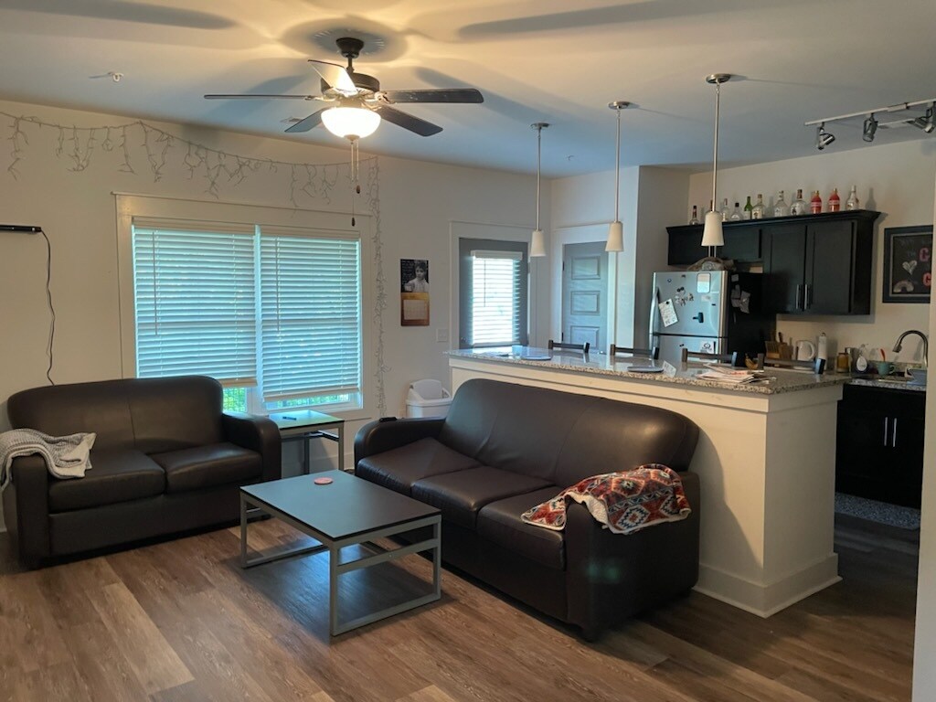 Living room and kitchen - 113 Market St