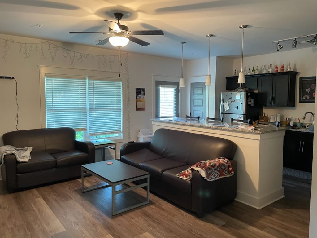 Living room and kitchen - 113 Market St