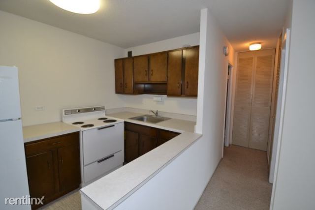 Building Photo - 1 br, 1 bath Condo - City Flats Chicago Fa...