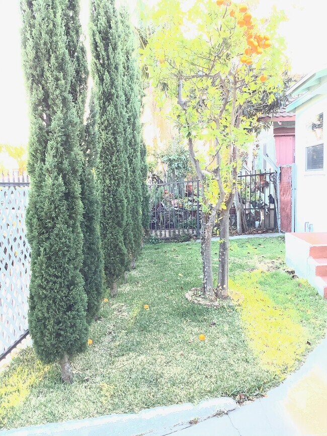 Foto del edificio - 511 Broadway St