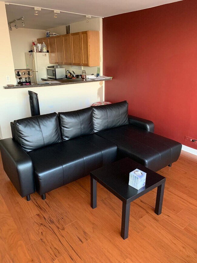 Sala de estar - 655 W Irving Park Rd