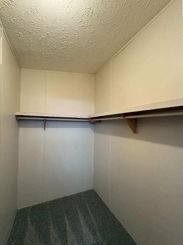 Foto del edificio - 356 Shummard Branch