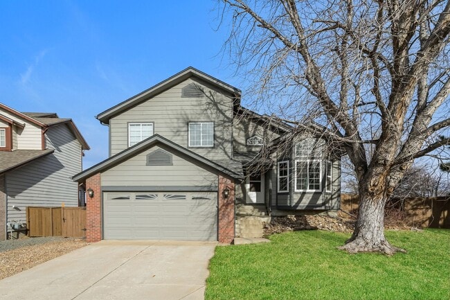 Renovated 4 Bed/ 3.5 Bath in Littleton - Renovated 4 Bed/ 3.5 Bath in Littleton House