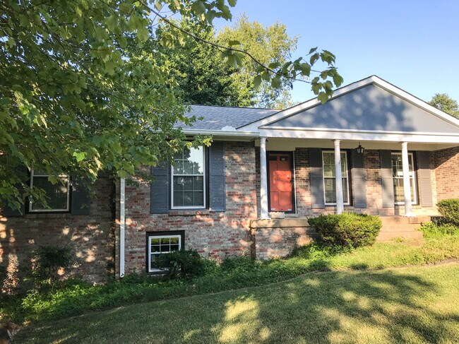 La ventana al sótano deja entrar la luz natural. - 2031 Eversong Ln