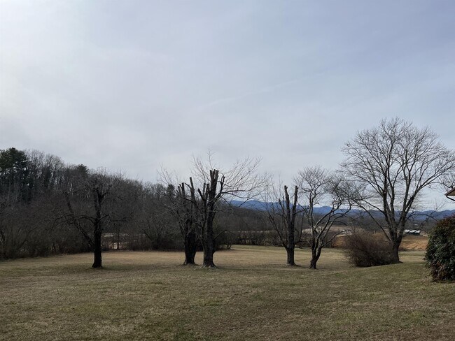 Foto del edificio - 162 Pisgah Heights Ln