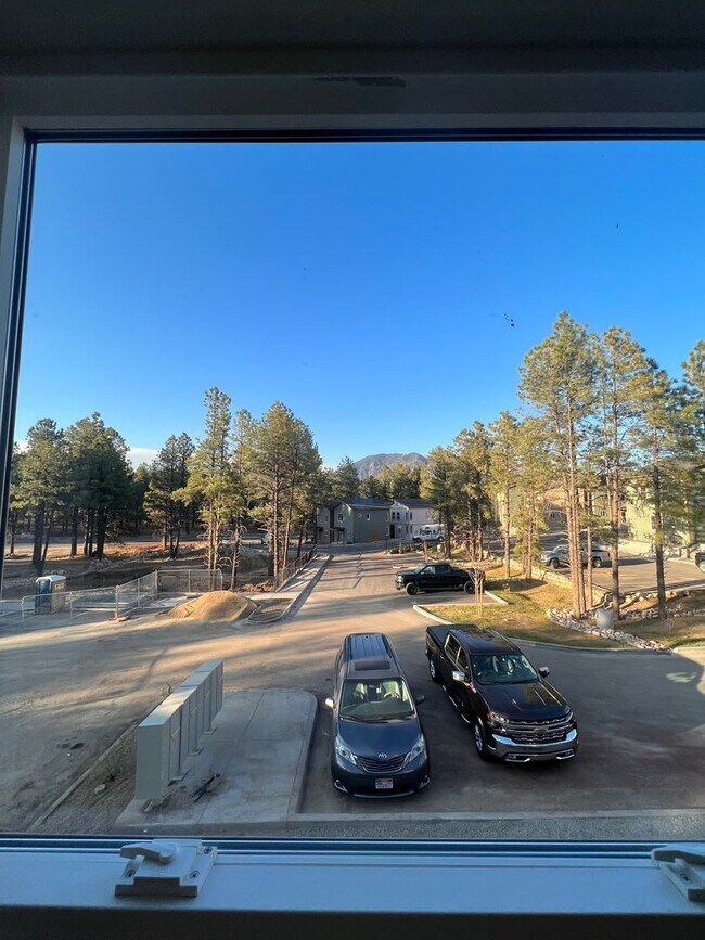 Foto del edificio - Brand New Never Lived in Luxury 2bd / 2ba unit