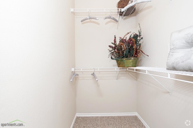 Bellini Closet - San Paloma Apartments