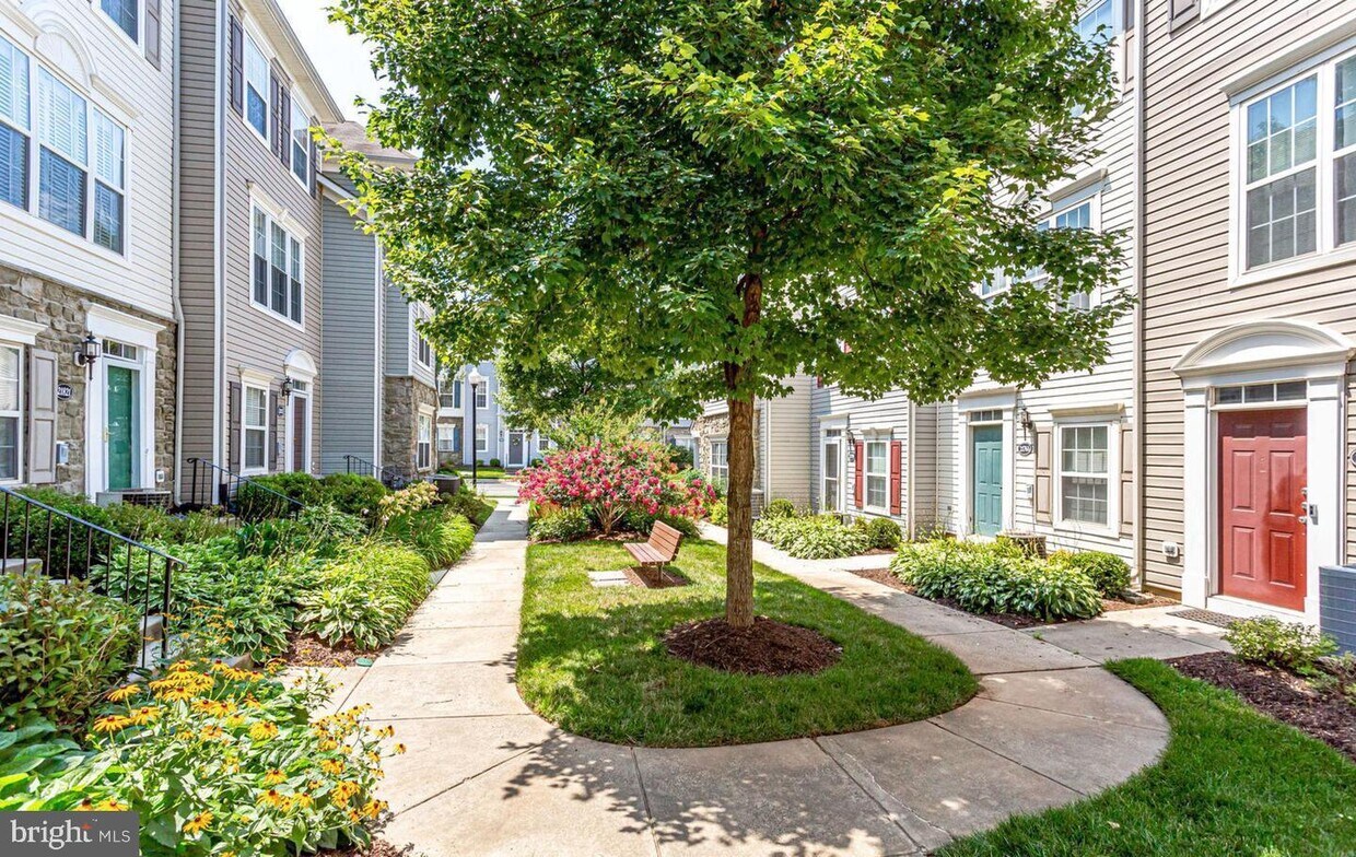 Foto principal - 21765 Dragons Green Square