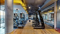 This fitness center in Baltimore, MD offers a generously sized, single-floor exercise space designed to support a full range of workout routines. The interior showcases an industrial-chic aesthetic, with exposed ceiling ductwork, bold yellow accent beams, and a combination of hardwood and rubber flooring that delineates cardio and strength training zones. Structural concrete columns and exposed brick elements add a rugged, urban character throughout.

The cardio section is lined with a row of treadmills, elliptical machines, stationary bikes, and rowing machines, all positioned to take advantage of large floor-to-ceiling windows that provide abundant natural light and views of an adjacent outdoor pool area. Full-length mirrors along the walls enhance the sense of openness.

The strength training zone features Precor cable machines, a barbell rack with weight plates, and a comprehensive dumbbell rack. A dedicated functional training area includes punching bags, a freestanding boxing dummy, battle ropes, medicine balls, and open rubber flooring ideal for stretching or bodyweight exercises. A wall-mounted flat-screen TV and whiteboard are positioned in this area for instructional use. Pendant lighting and track fixtures throughout create a focused, motivating atmosphere suited for rigorous training.