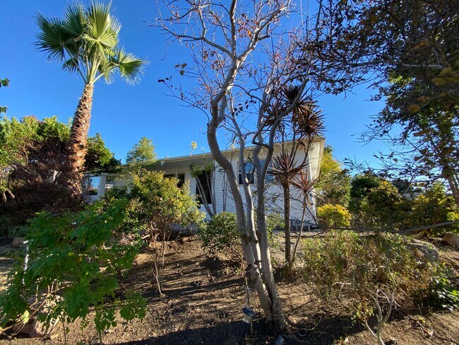 Building Photo - JANUARY MOVE IN! Large house on Julie! (Le...