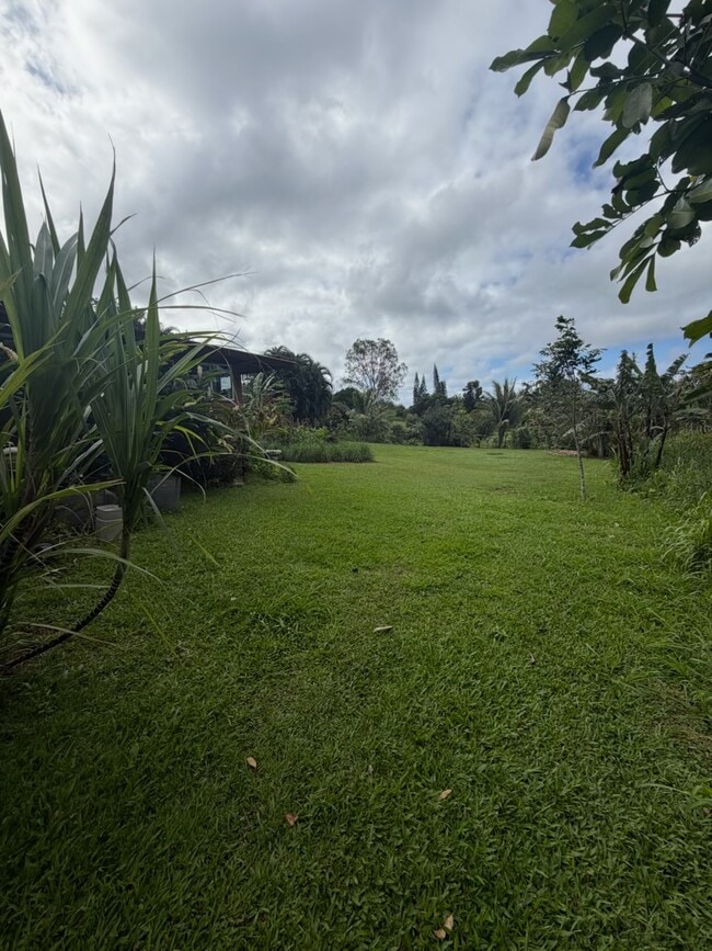 Foto del edificio - 20 Leahi Pl