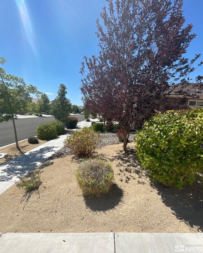 Building Photo - 3946 Hazy Swale Way