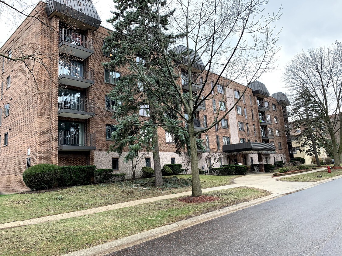 1551 Ashland Ave Unit 101, Des Plaines, IL 60016 Condo for Rent in Des Plaines, IL